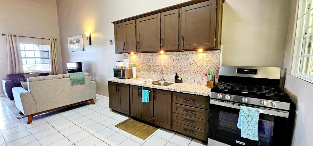 Silver View Apartments 세인트조지스 외부 사진